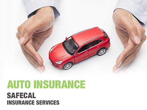 Car Insurance